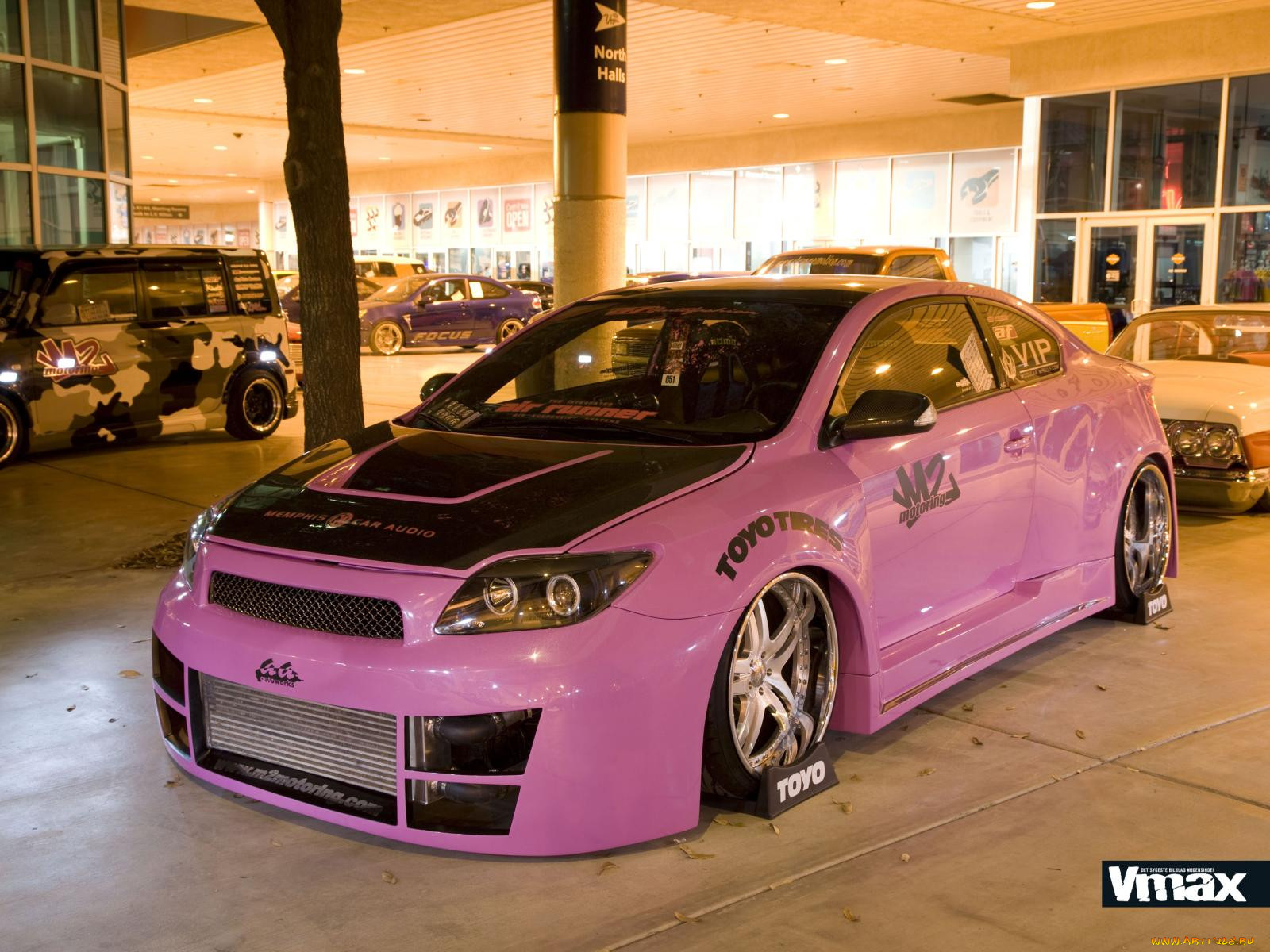 , scion